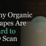 What is 3D Scanning? Unlocking Powerful Applications and Advantages