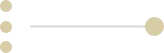 Timeline